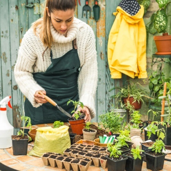 Jardinería y exterior
